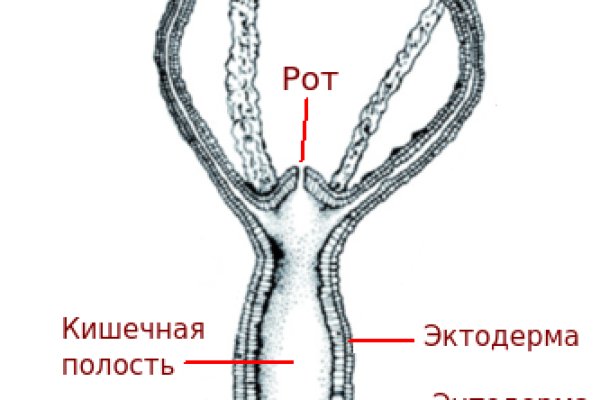 Что за площадка кракен