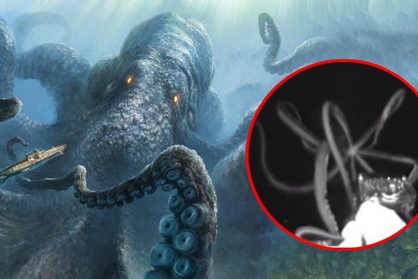 Kraken 19 at