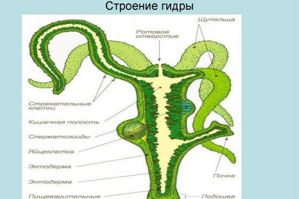 Кракен это современный даркнет маркетплейс