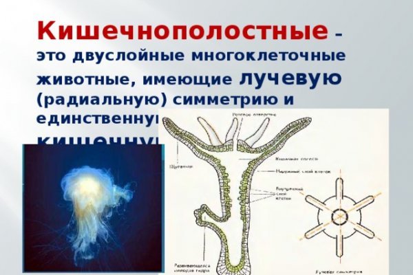 Кракен гидра даркнет